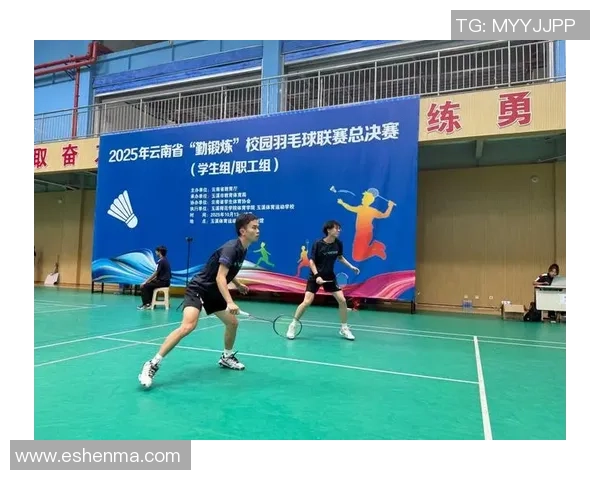 武汉羽毛球队阵地战打法深度分析与战术解读