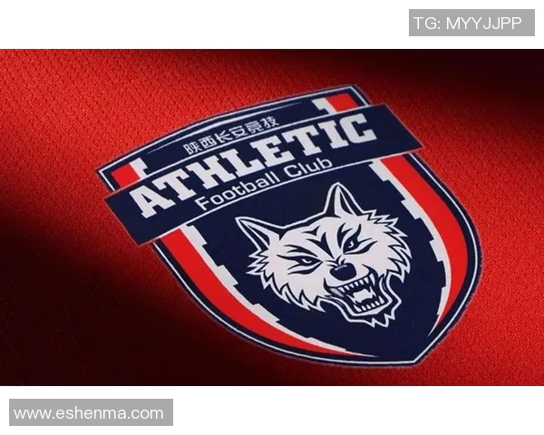 西安篮球队实力飙升创历史新高引发全国关注与热议