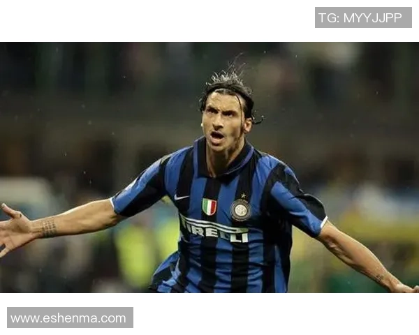 足球明星扫盲指南揭示他们背后的故事与成就